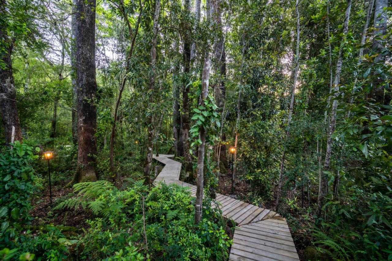 Rakau Lodge Minetué المظهر الخارجي الصورة